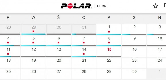 Polar Flow – wideotest serwisu internetowego dla aktywnych